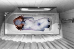 screen banniere echo acide