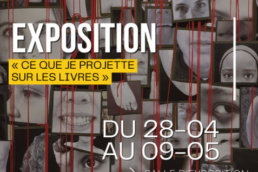 ce que je projette sur les livres